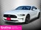 2023 Ford Mustang EcoBoost