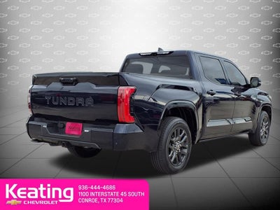 2023 Toyota Tundra 4WD Platinum